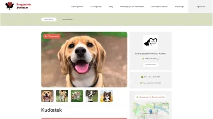 New platform for Przyjaciele zwierząt Przyjaciele zwierząt website